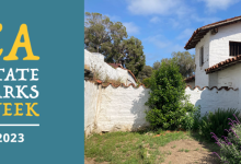 Stories and Stewardship