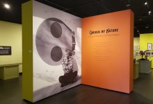 Artful Animal Nature, at Santa Barbara Museum of Natural History