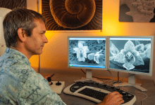 Science Pub: Orchid Sex à la Miniature