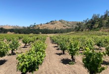 Full Belly Files | The Backroads of San Benito