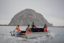 The Central Coast Stars in ‘The Oyster Farmer’