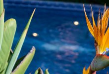 Picnic Concert #1 – Music Academy