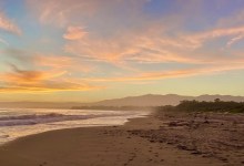 Guided tour of local nature reserve