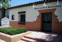 A Century of Caring for Critters in Santa Barbara