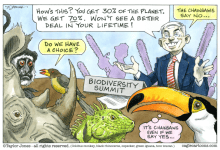 Five Steps to Evolutionary Social Change