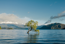 GreenScreen 2023 Student Film Premiere