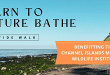 Low-Tide Walk, Benefitting Marine Wildlife Rehab