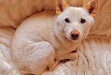 The Home Page | Red, White, and Blooms