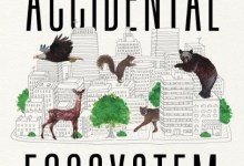The Accidental Ecosystem