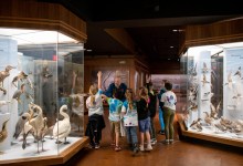 Museum Volunteer Educator Open House