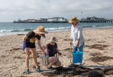 Ocean Ambassador Beach Cleanup