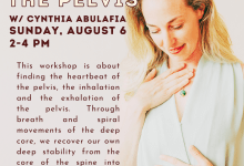 Breathe the Pelvis Workshop