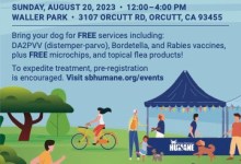 Santa Barbara Humane To Provide Free Vaccines, Microchips, and Flea Treatments at Santa Maria Event