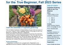 Vegetable Gardening Classes for the True Beginner