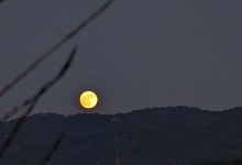 Full Supermoon Sunset Nature Hike in Ojai
