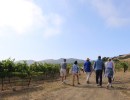 Alma Rosa Winery’s fourth annual Peace of Mind: 10,000 Steps in the Right Direction walk raises $200,463 to support mental health organizations
