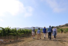 Alma Rosa Winery’s fourth annual Peace of Mind: 10,000 Steps in the Right Direction walk raises $200,463 to support mental health organizations