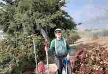 Garden care day in Lompoc