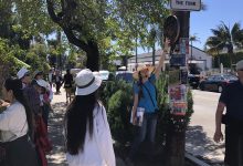 Free Funk Zone Walking Tour