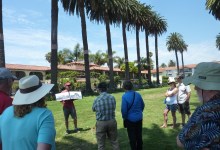 Free Waterfront Walking Tour