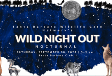 Wild Night Out 2023 – Nocturnal