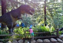 Members-only Hours on the Museum Grounds