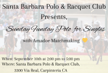 Sunday Funday Polo for Singles