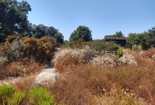 Lompoc Valley Botanic and Horticultural Society Meeting