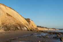 Science Pub: S.B. Is Special – Whose Fault Is It?