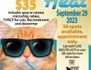 ASAP Cats “Beat the Heat” Spay/Neuter Clinic