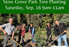 Can You Dig It? Help Plant 100 Trees at Stow Grove Park