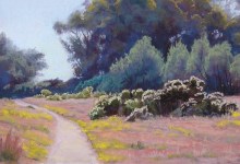SCAPE Artists Come Together in Santa Barbara to Support County Trails Nonprofit