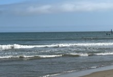 Ocean Swim with the Ocean Ducks