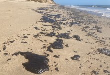 Leaks or Seeps? Big Tar Balls Abundant on Santa Barbara Beaches