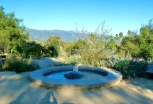 Cluff Vista Park Edible Plant Walk