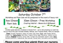 Fall Plant Sale & Talk on Monarchs and Milkweed