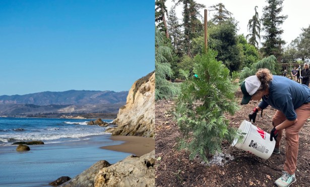 Goleta Certified as Santa Barbara County’s First ‘Blue City,’ Makes Town Greener with 100 New Trees