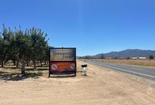 The Cuyama Valley Launches a Carrot Boycott