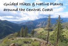 Guided Hikes and Native Plants