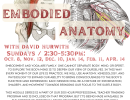 Embodied Anatomy Series with David Hurwith