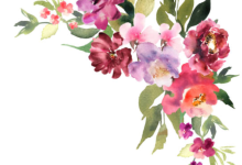 Introduction to Floral Water Colors Workshop