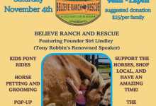 Open Day Horse Rescue Ranch