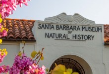 Estate Planning Essentials Workshop