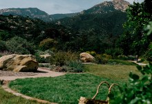 Christmas Day Breakfast, Lunch, and Dinner