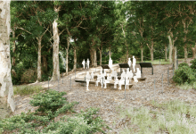 Goleta City Council Approves Comprehensive Habitat Enhancement Implementation Plan for the Goleta Butterfly Grove