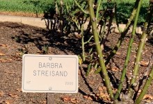 Broadway Comes to Santa Barbra