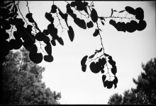Shadows and Angles Beyond the Calm, at Santa Barbara Museum of Art
