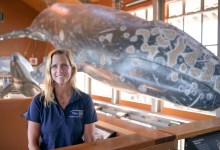 Science Pub: Whales in the Santa Barbara Channel