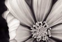 Subtleties of Place: Photos by Jean M. Phillips