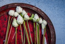 Jean Morrison Phillips Photography Show at Santa Barbara Central Library Features Exquisitely Detailed Work